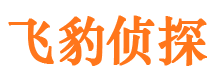 梁山市调查公司